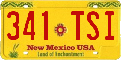 NM license plate 341TSI