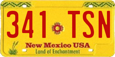 NM license plate 341TSN