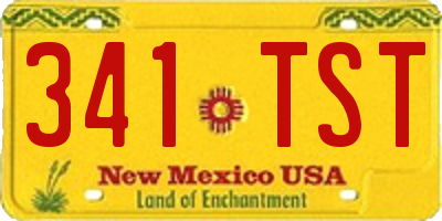 NM license plate 341TST