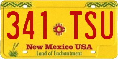 NM license plate 341TSU
