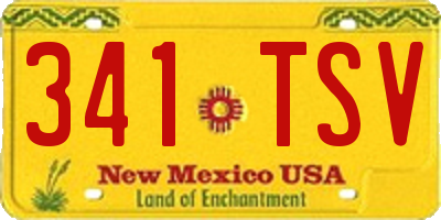 NM license plate 341TSV