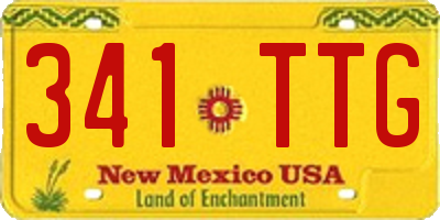 NM license plate 341TTG