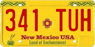 NM license plate 341TUH