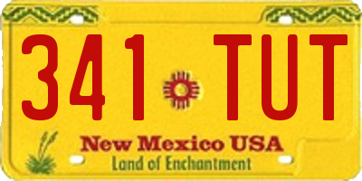 NM license plate 341TUT