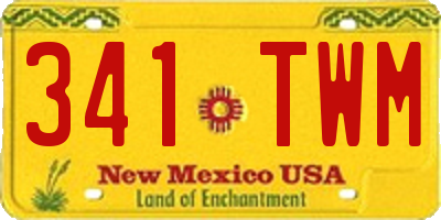 NM license plate 341TWM