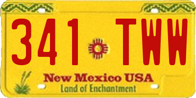 NM license plate 341TWW