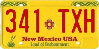NM license plate 341TXH