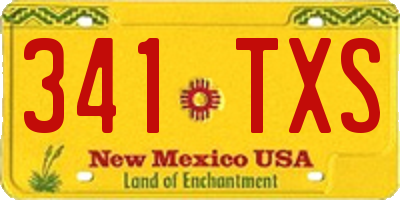 NM license plate 341TXS