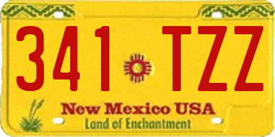NM license plate 341TZZ