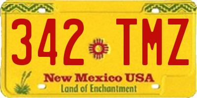 NM license plate 342TMZ