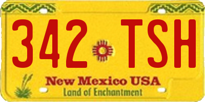 NM license plate 342TSH