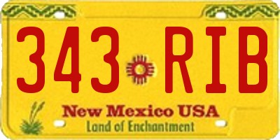 NM license plate 343RIB