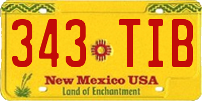 NM license plate 343TIB