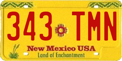 NM license plate 343TMN