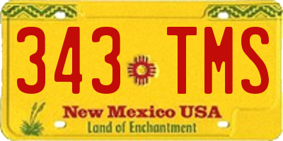 NM license plate 343TMS