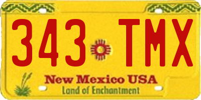 NM license plate 343TMX