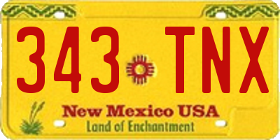 NM license plate 343TNX