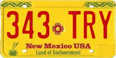 NM license plate 343TRY
