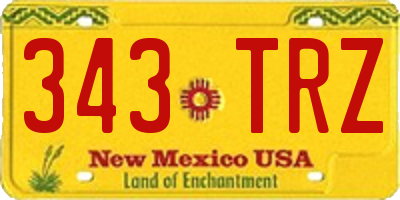 NM license plate 343TRZ