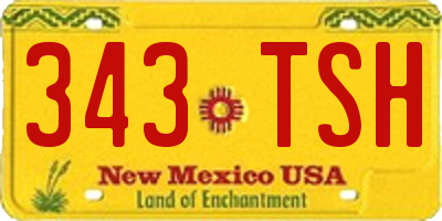 NM license plate 343TSH