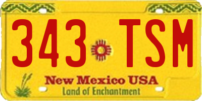 NM license plate 343TSM