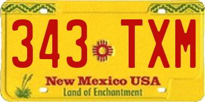 NM license plate 343TXM