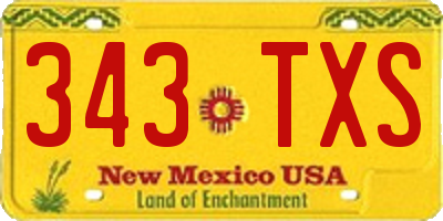 NM license plate 343TXS