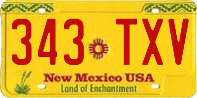 NM license plate 343TXV