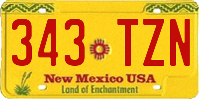 NM license plate 343TZN