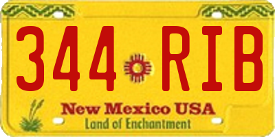 NM license plate 344RIB