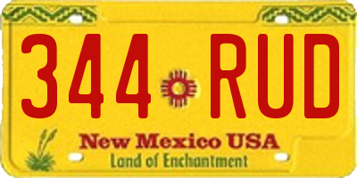 NM license plate 344RUD