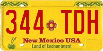 NM license plate 344TDH