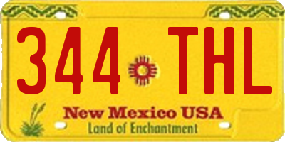 NM license plate 344THL