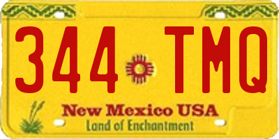 NM license plate 344TMQ