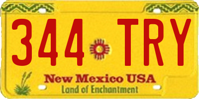 NM license plate 344TRY
