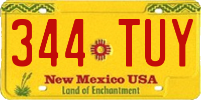 NM license plate 344TUY