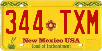 NM license plate 344TXM
