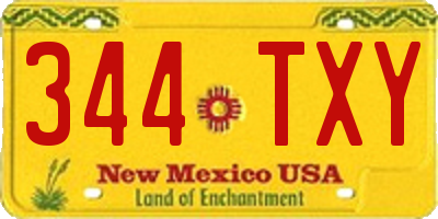 NM license plate 344TXY
