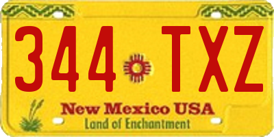 NM license plate 344TXZ