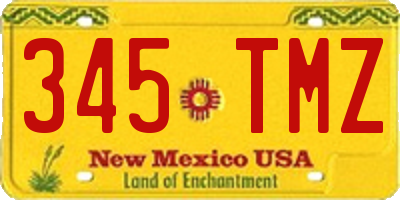 NM license plate 345TMZ