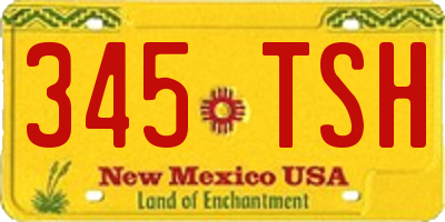 NM license plate 345TSH