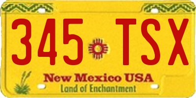 NM license plate 345TSX