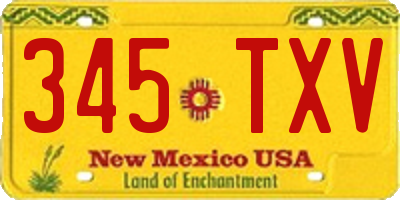 NM license plate 345TXV