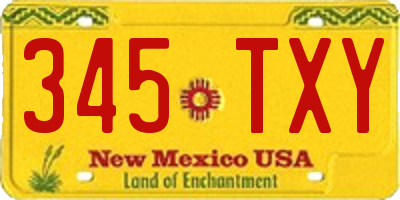 NM license plate 345TXY