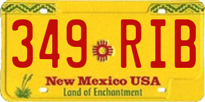 NM license plate 349RIB