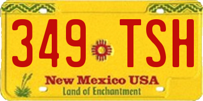 NM license plate 349TSH