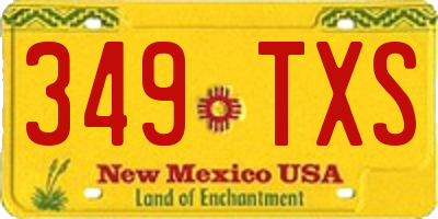 NM license plate 349TXS