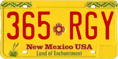 NM license plate 365RGY