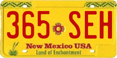 NM license plate 365SEH