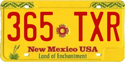 NM license plate 365TXR